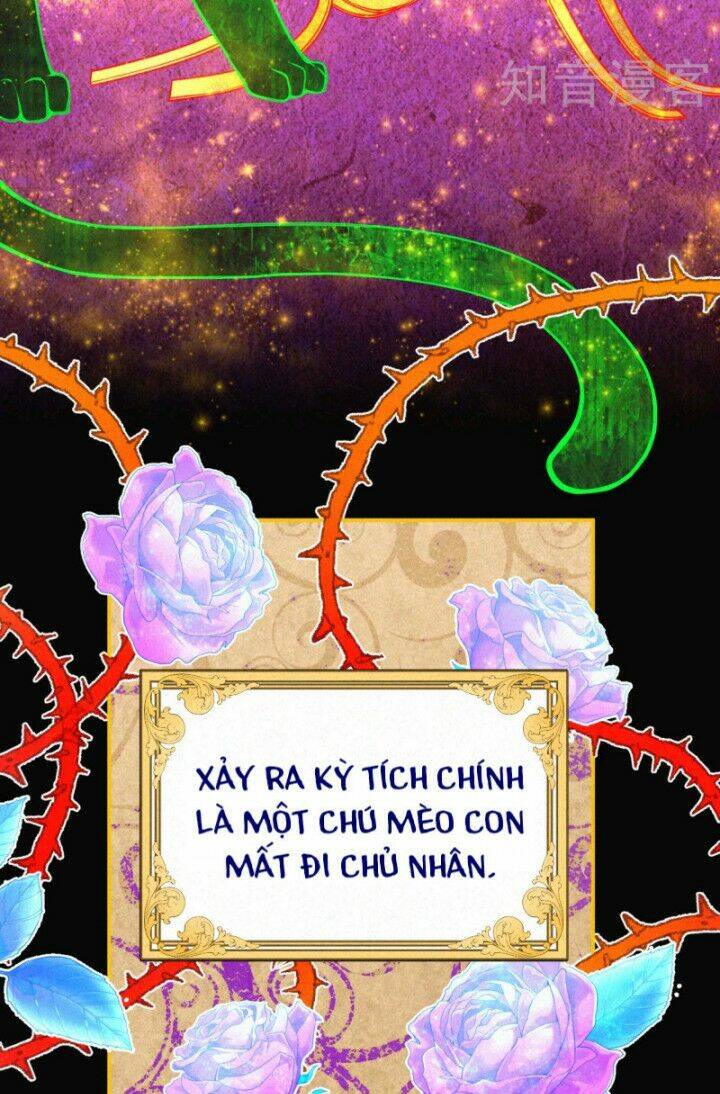 xuyên đến ai cập : trở thành cô dâu của vương chapter 0 15