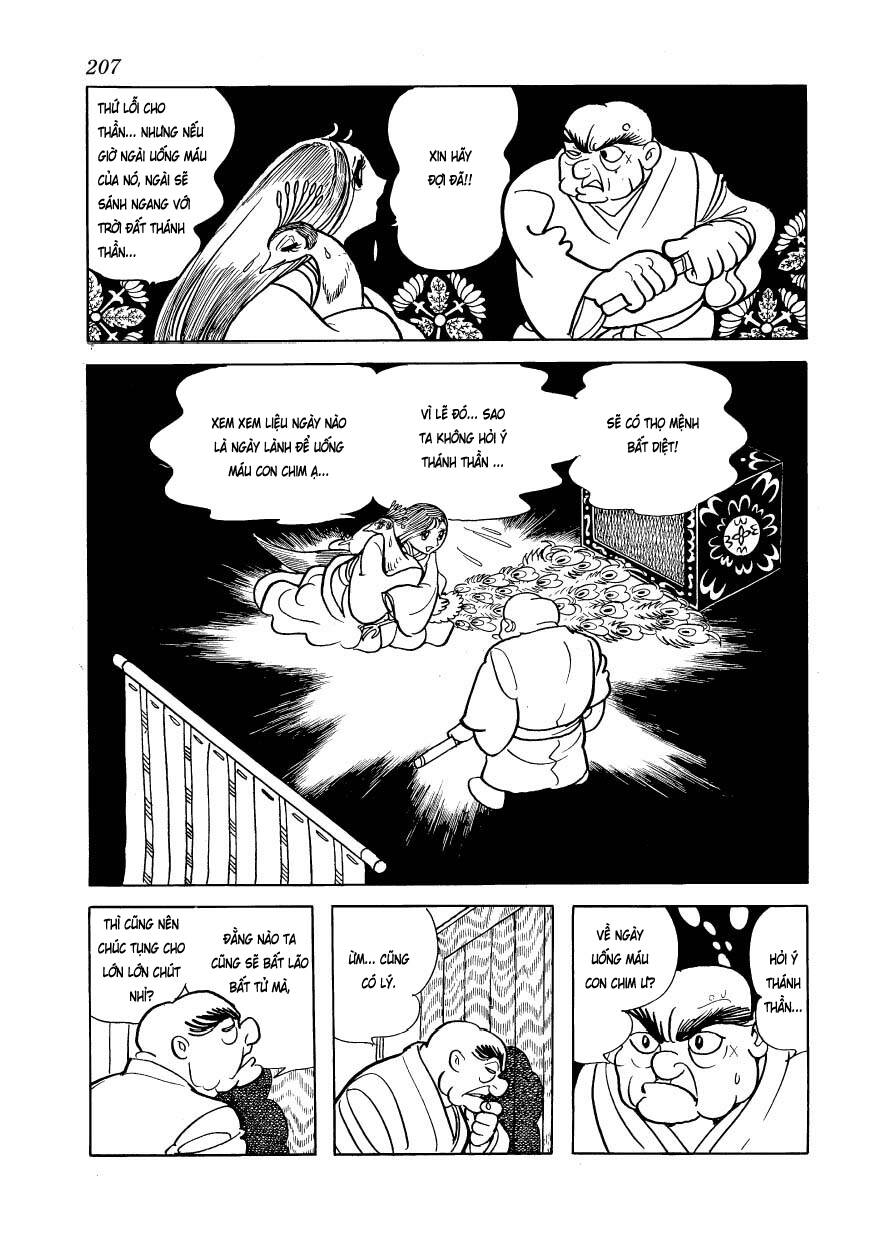 chim lửa chapter 85 5