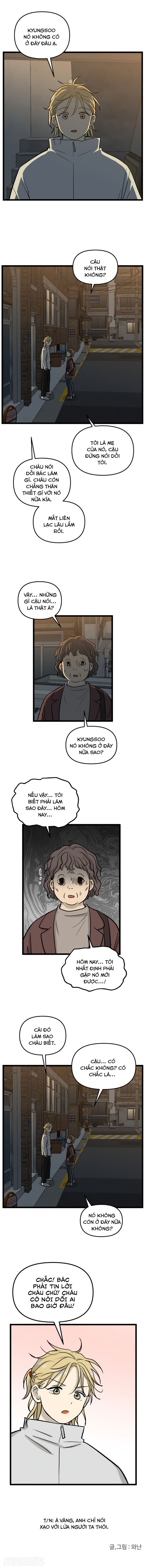 no home - không nhà chapter 217 11