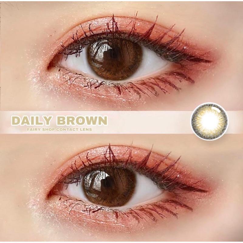 Kính Áp Tròng Daily Brown 14.0mm - FAIRY SHOP CONTACT LENS - độ cận 0 đến 8