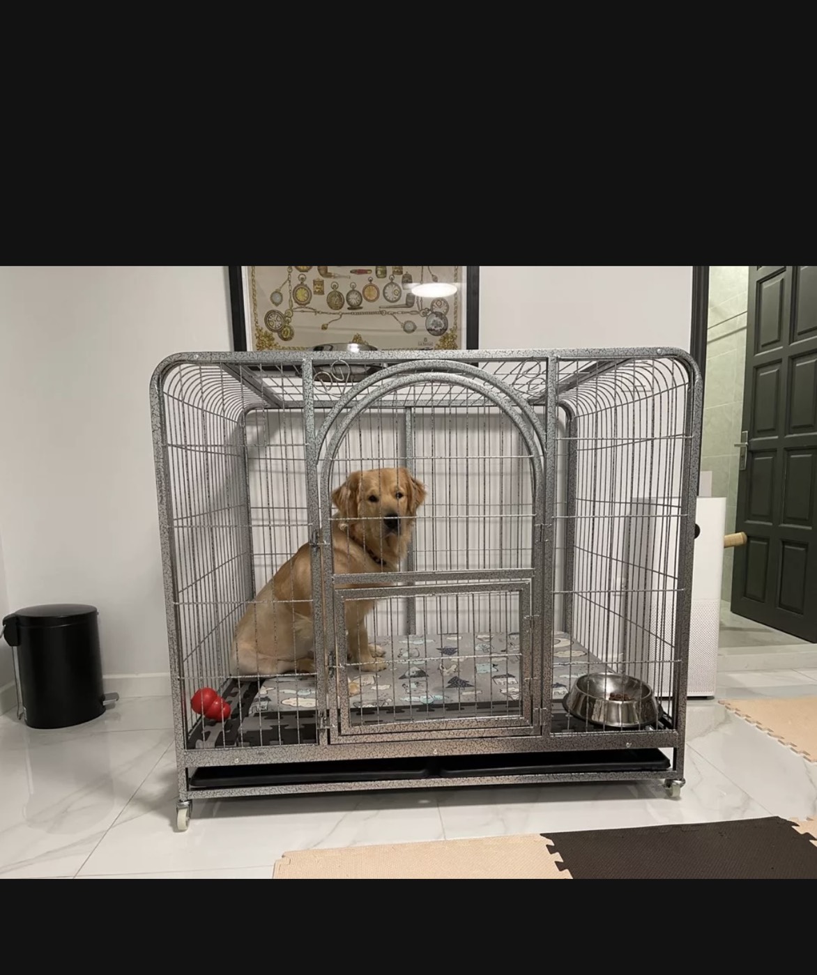 Chuồng Size lớn 1Mét25cm , Chuồng Size Đại Dành Cho Chó Lớn Becgie Cao Cấp