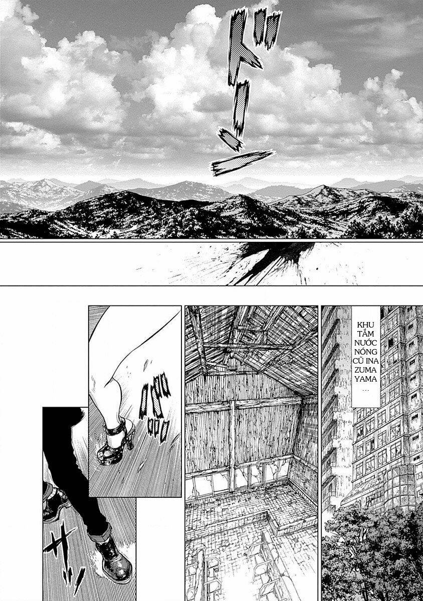 wallman chapter 22 17