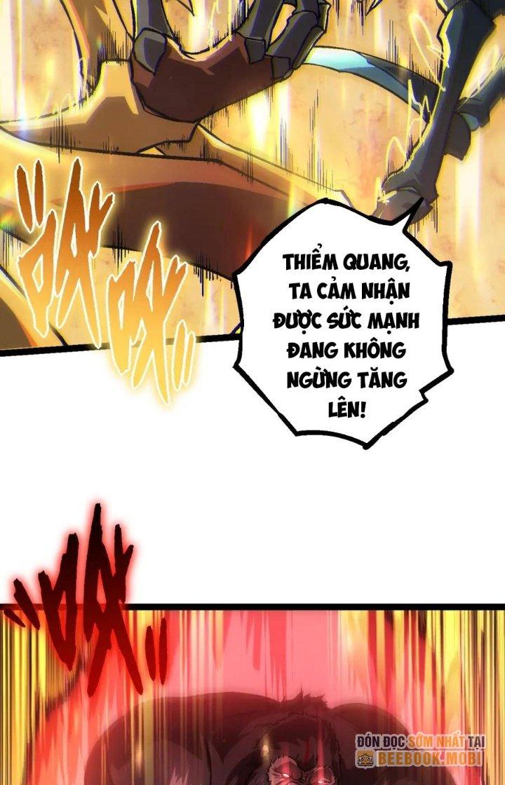 từ cây cổ thụ bắt đầu tiến hóa chapter 73 51