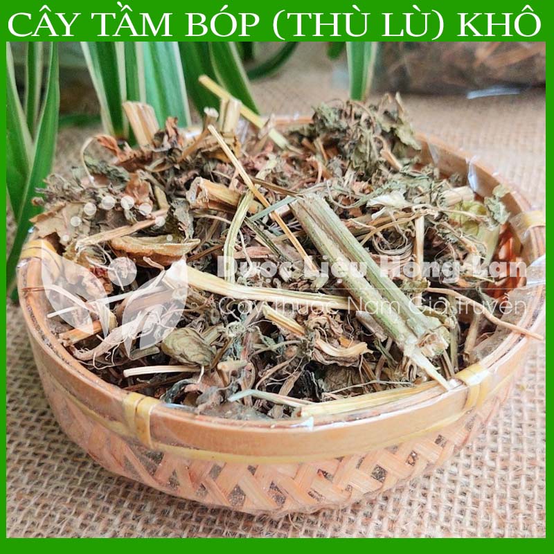 500gram Cây Tầm Bóp (Thù Lù) khô sạch