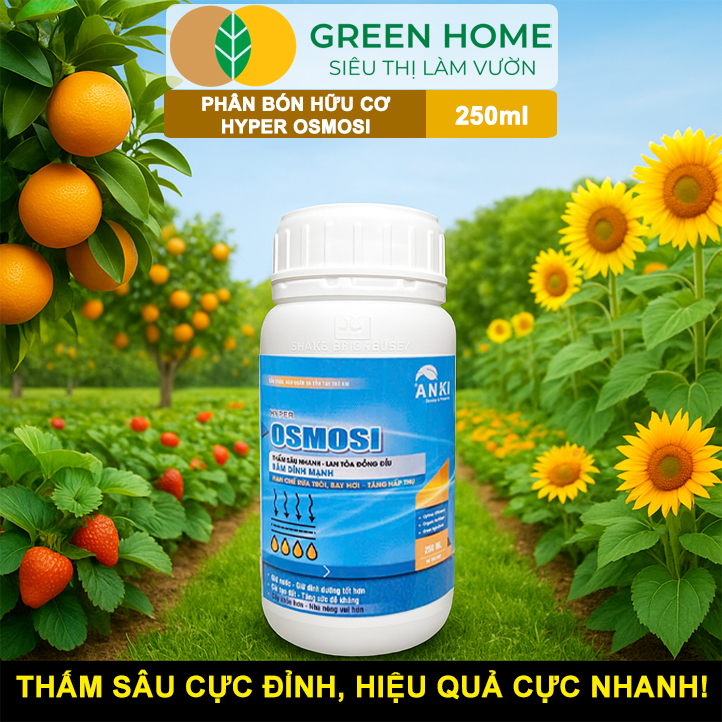 Phân Bón Hữu Cơ Hyper OSMOSI GreenHome, Chai 250ml, Thấm Sâu Nhanh, Tăng Hiệu Quả Hấp Thụ Dinh Dưỡng