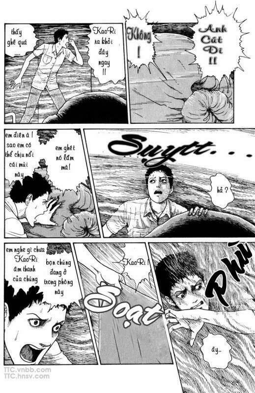 quái vật biển chapter 8 13