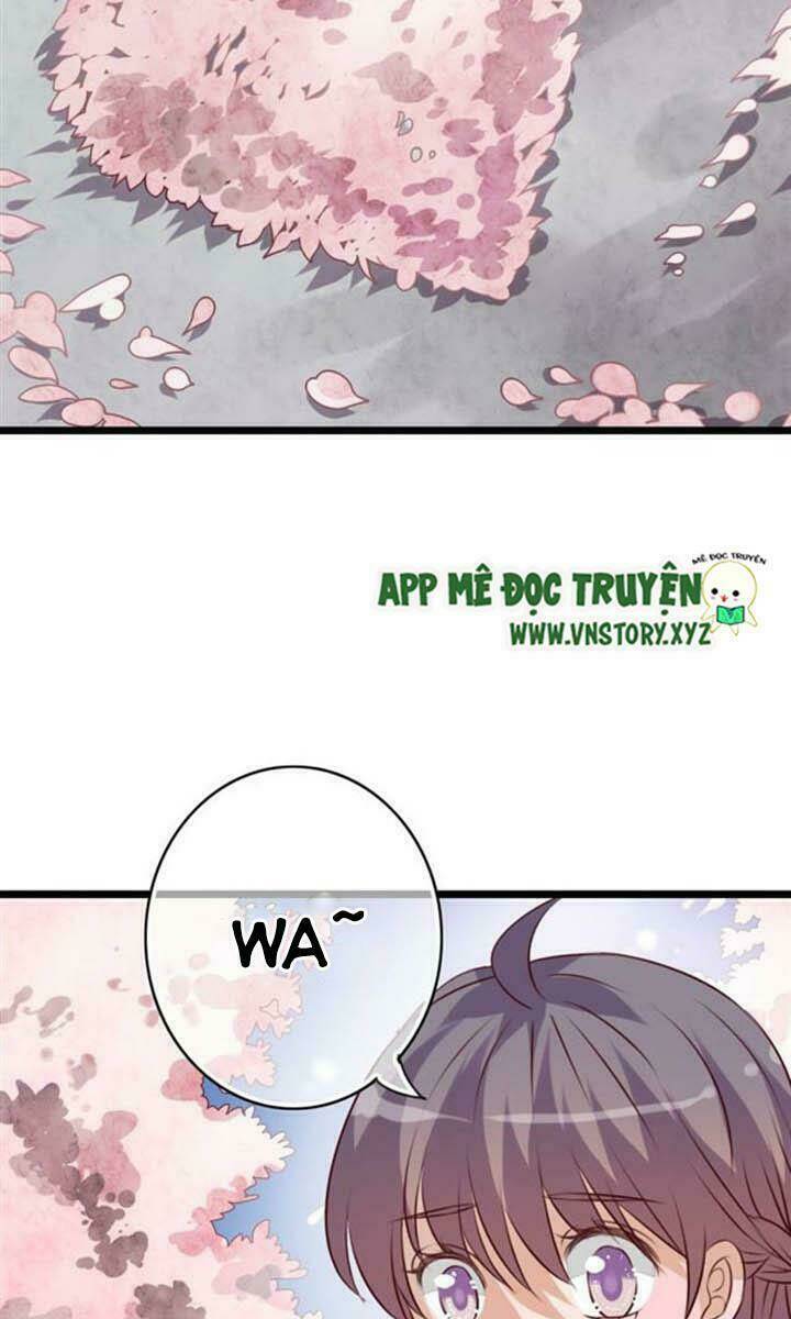 sau con mưa mùa hạ chapter 29 11