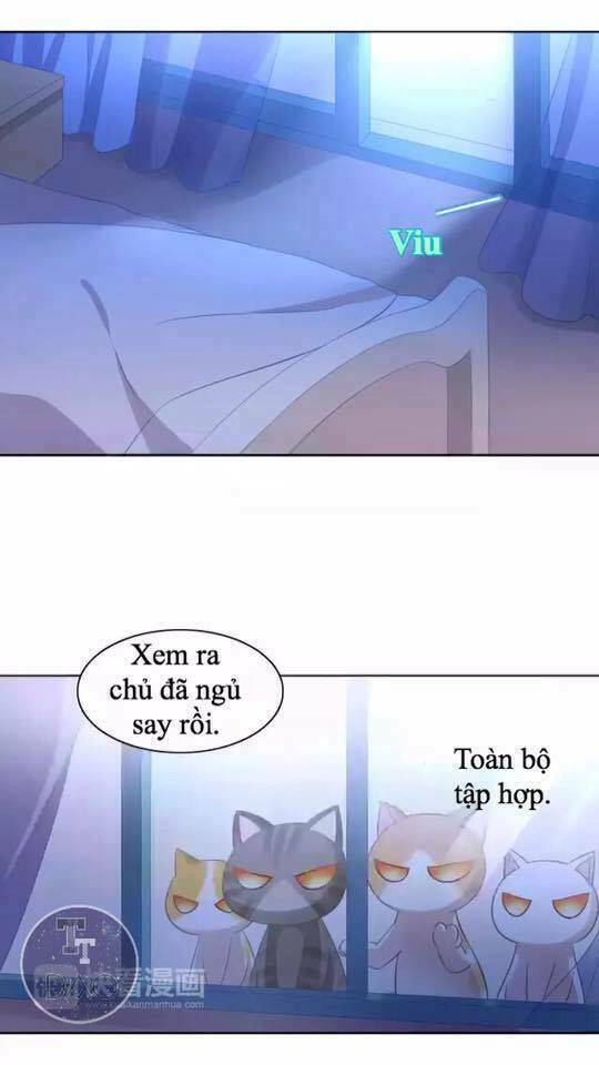 dưới móng vuốt mèo chapter 13 3