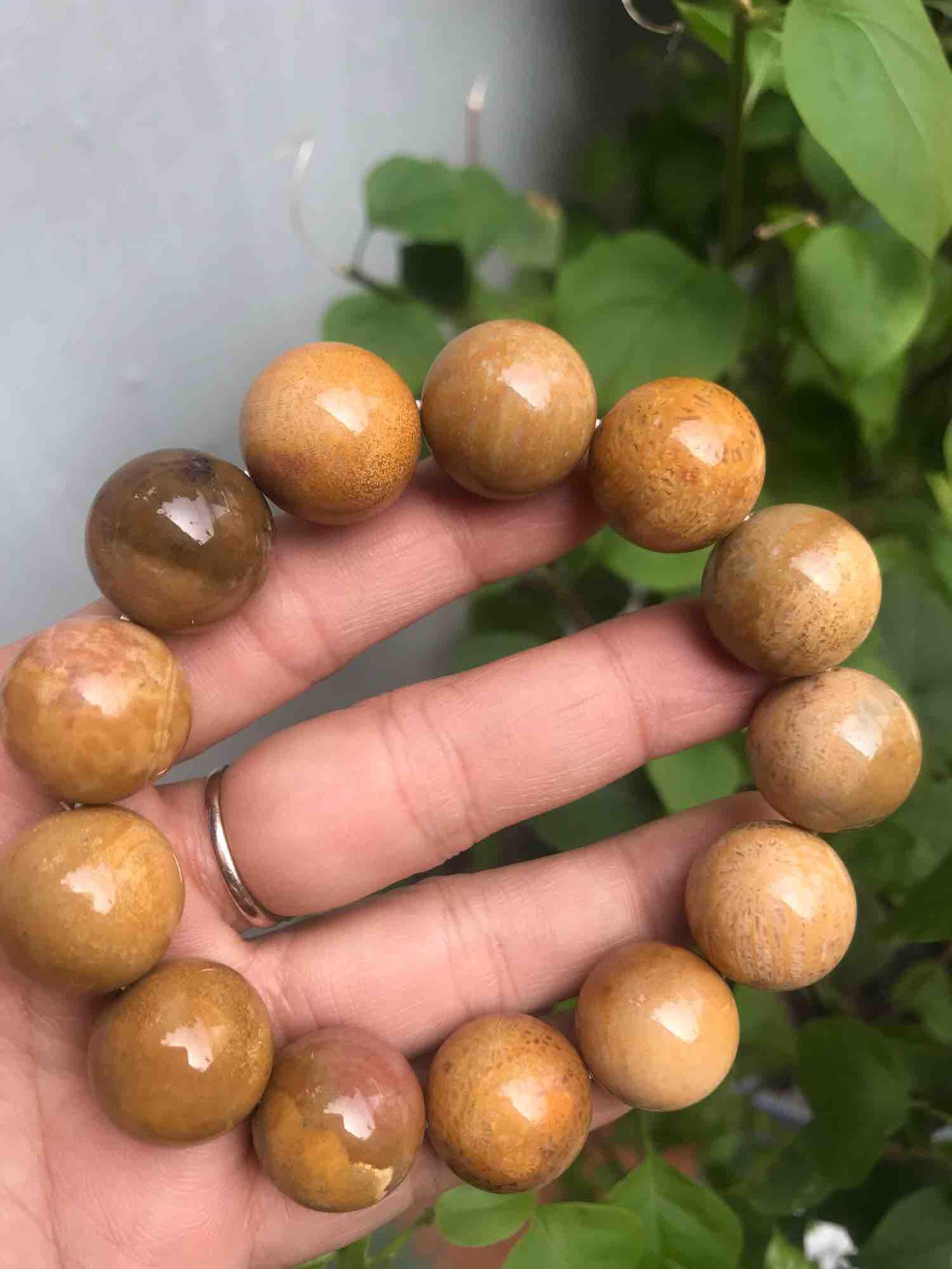CHIẾC VÒNG SAN HÔ HOÁ THẠCH 16ly NAM ĐEO ĐẸP