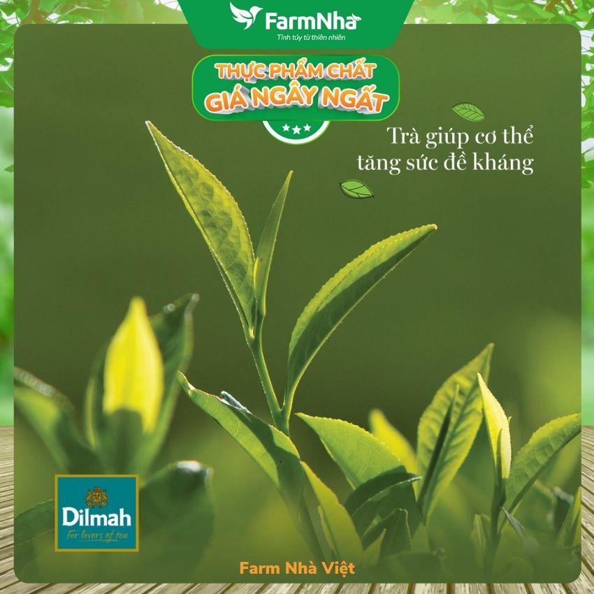 Trà Dilmah Raspberry túi lọc 30g 20 túi x 1.5g - Tinh hoa trà Sri Lanka