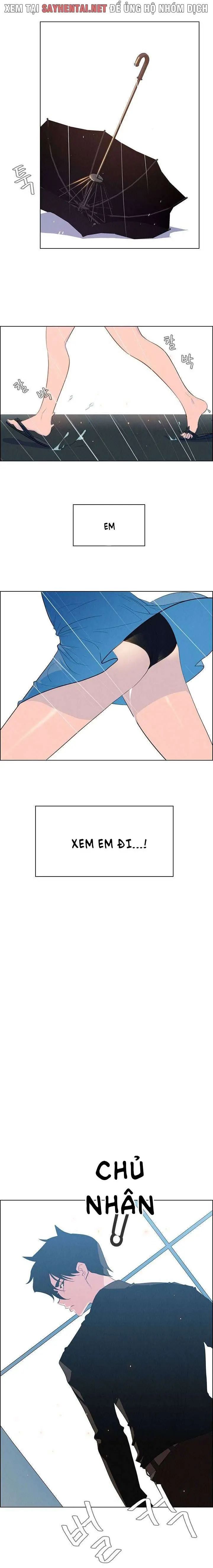 màn mưa chapter 49 6