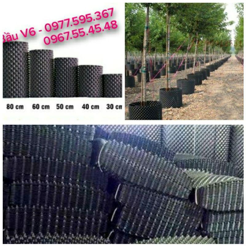 Bầu v6 50cm dài 50m dày 0.7mm