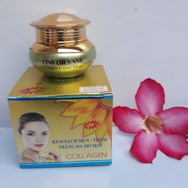 Kem LINH CHI VÀNG mụn, thâm, trắng da 25g