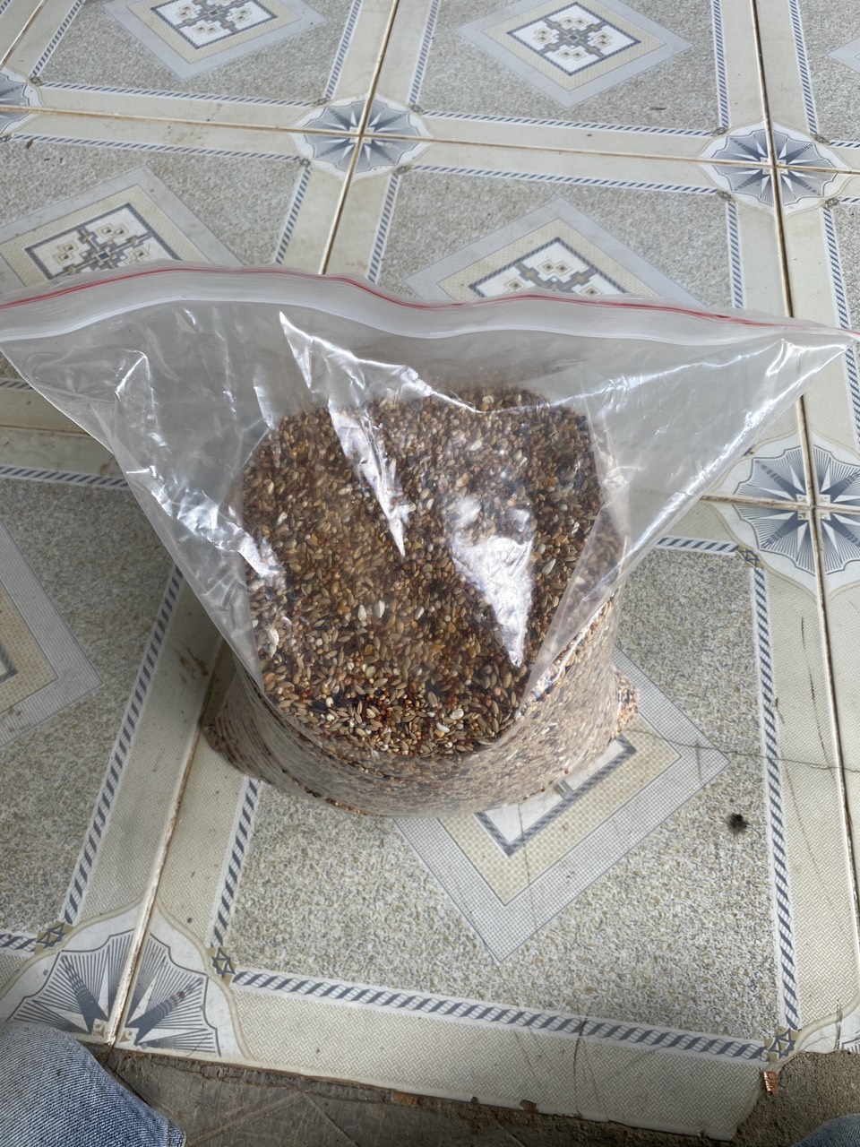 2kg hạt 15 loại ngũ cốc thiên nhiên 100% tăng cường dinh dưỡng giú chim cu cực sung