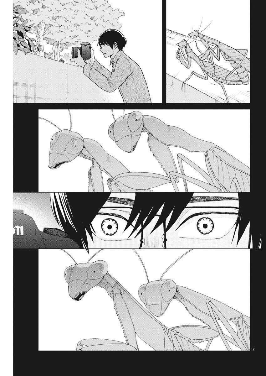 hãy cho em ''trung tình'' của anh chapter 17 11