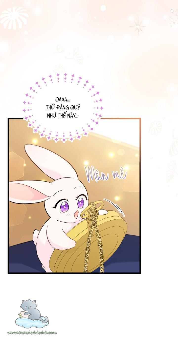 quan hệ cộng sinh giữa báo đen và thỏ trắng chapter 56 50