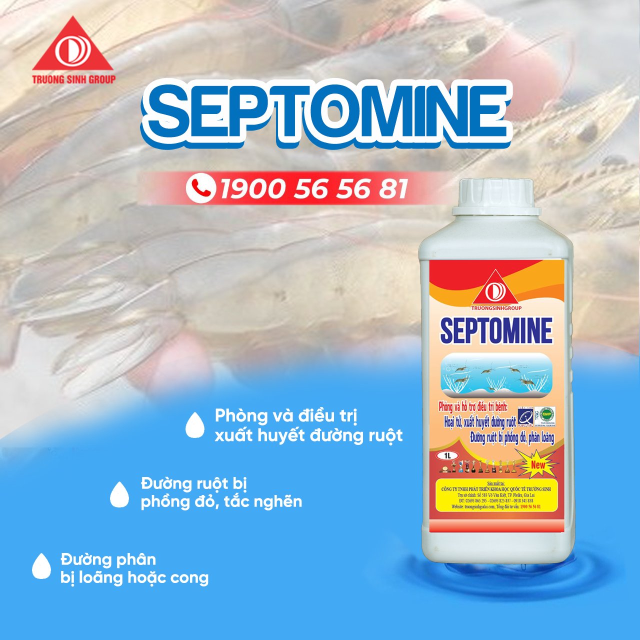 SEPTOMINE - Đặc trị xuất huyết đường ruột