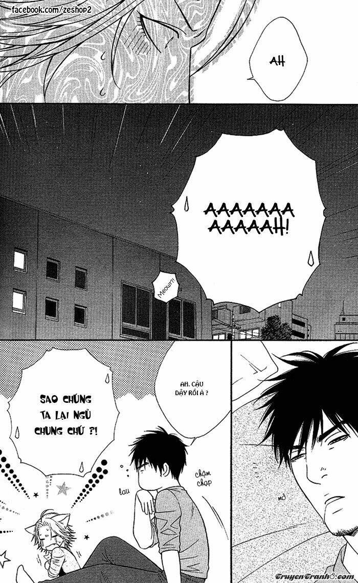 người nuôi mèo và bác sĩ thú y chapter 6 15