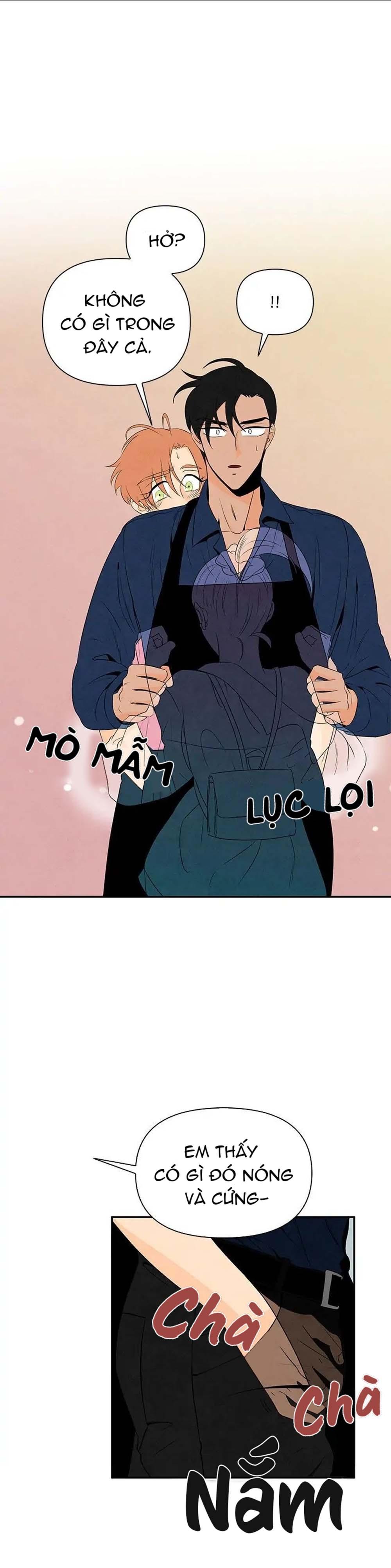 bona sort chapter 8 8