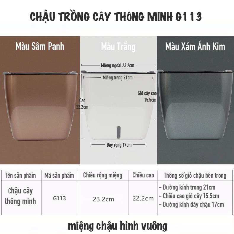 Chậu trồng cây Oliz G113. Chậu trồng cây thông minh tự tưới