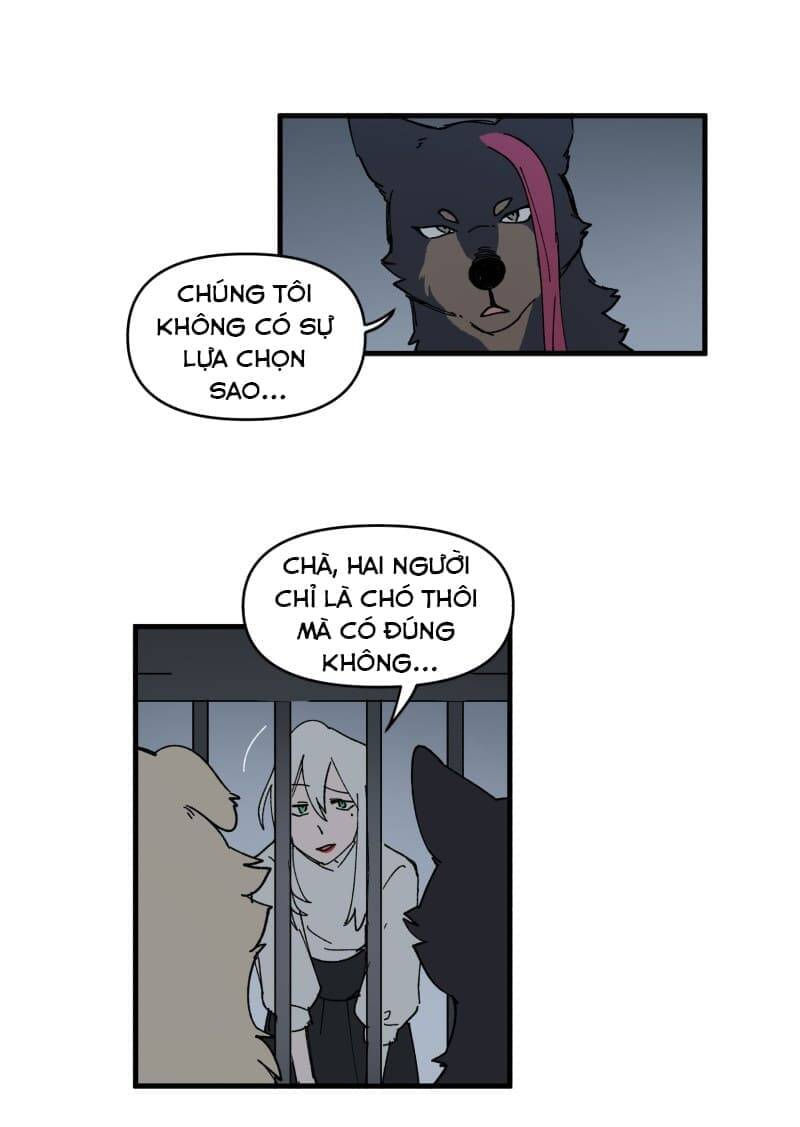 lumine - cội nguồn ánh sáng chapter 145 12