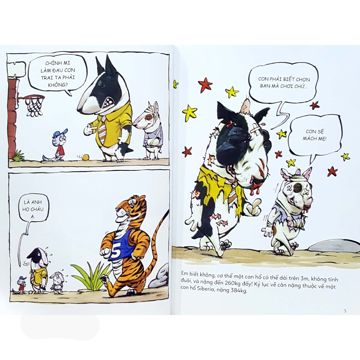 Ô Kìa! Em Có Biết: Hổ