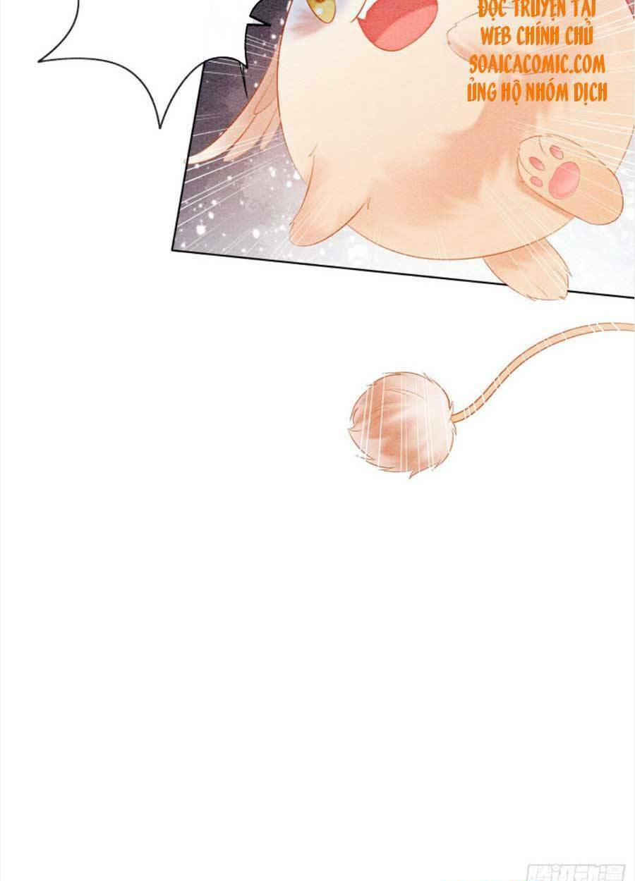 bắt đầu hủy hôn để công lược vương gia chapter 37 60