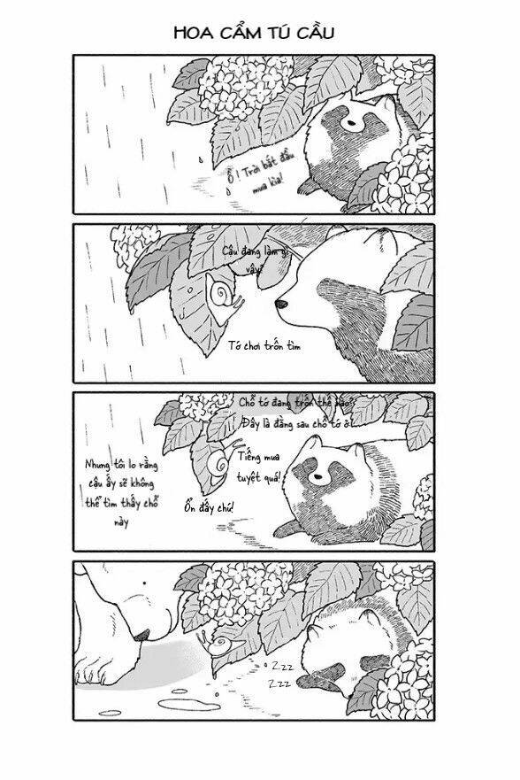 gấu và tanuki chapter 3 5