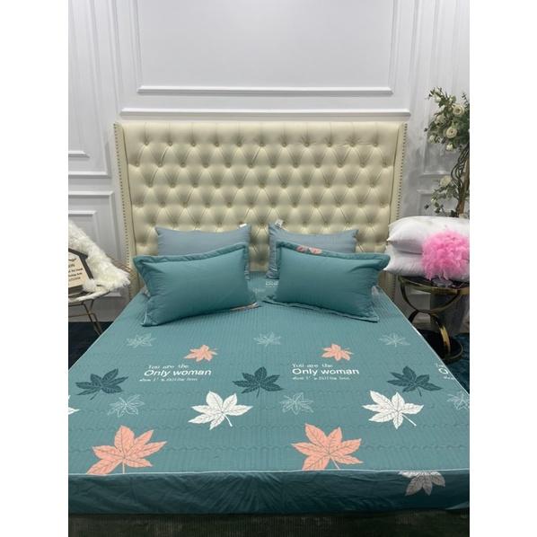 Bộ Ga Gối Cotton, Ga Chun Trần Bông Đủ Kích Thước Nệm Bọc Được Đệm 10p Ga Phân Phối Độc Quyền