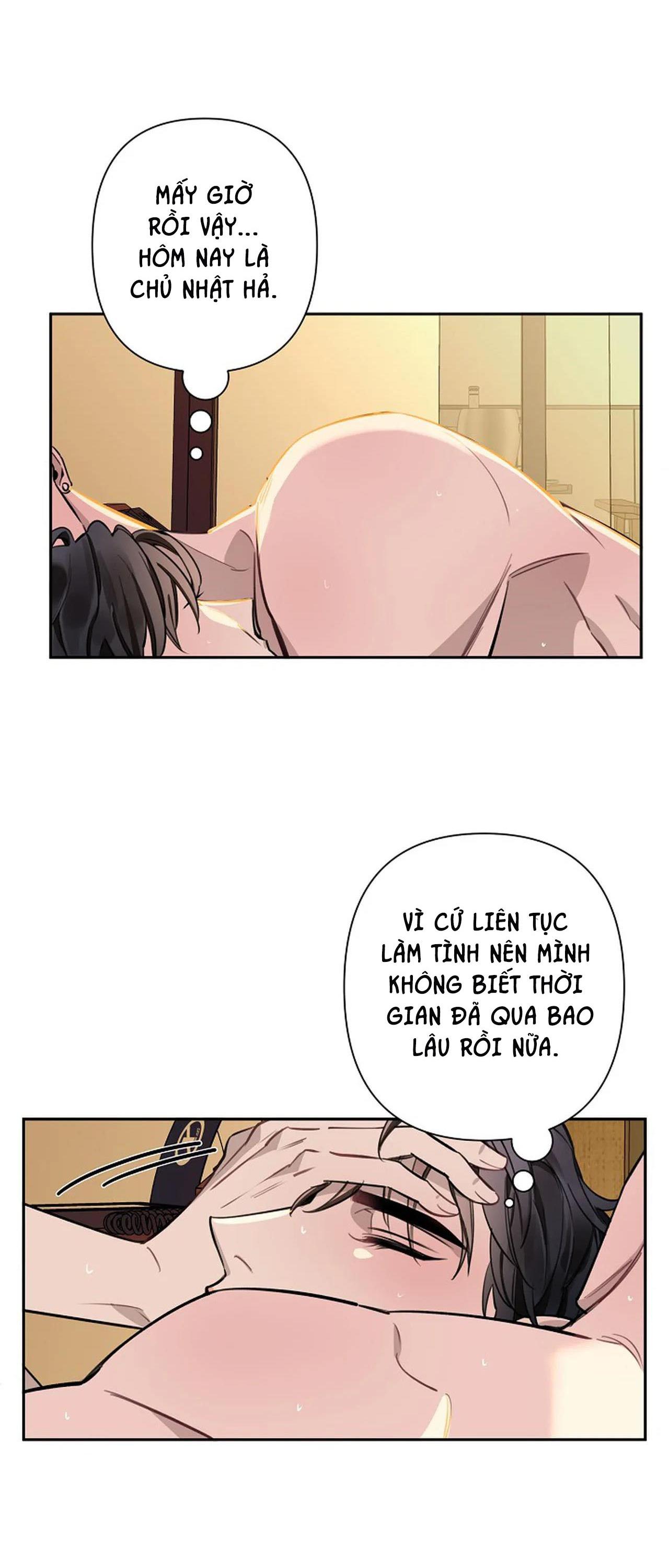 đêm dịu dàng chapter 52 35