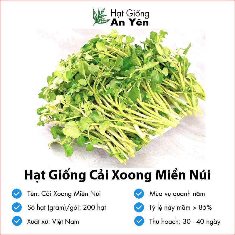 Hạt giống Xà Lách Xoong, nhanh thu hoạch, dễ trồng, nảy mầm và năng suất cao