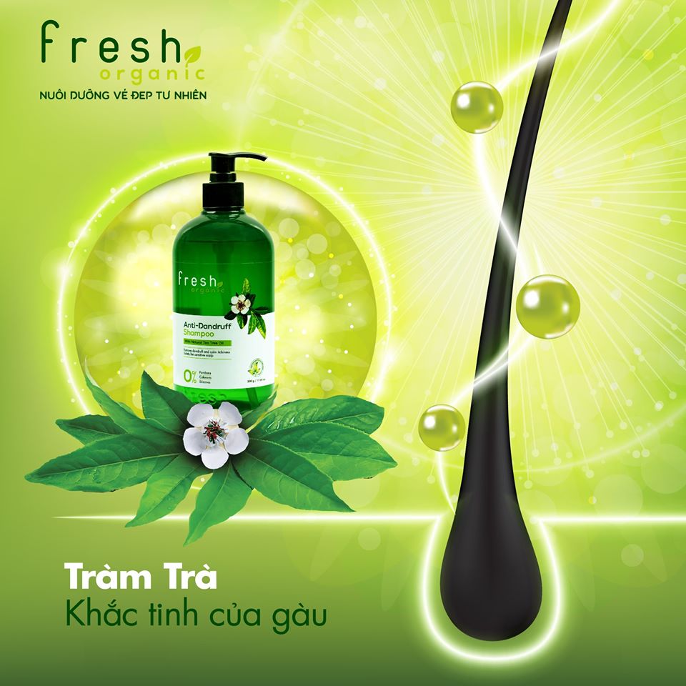 Dầu Gội Tràm Trà Ngừa Gàu Fresh Organic Anti-Dandruff Shampoo With Natural Tea Tree Oil 500g
