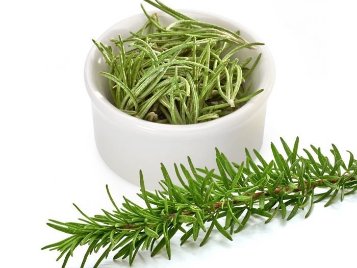 Hạt giống cây Hương Thảo Rosemary - Mê điệt hương VTS191