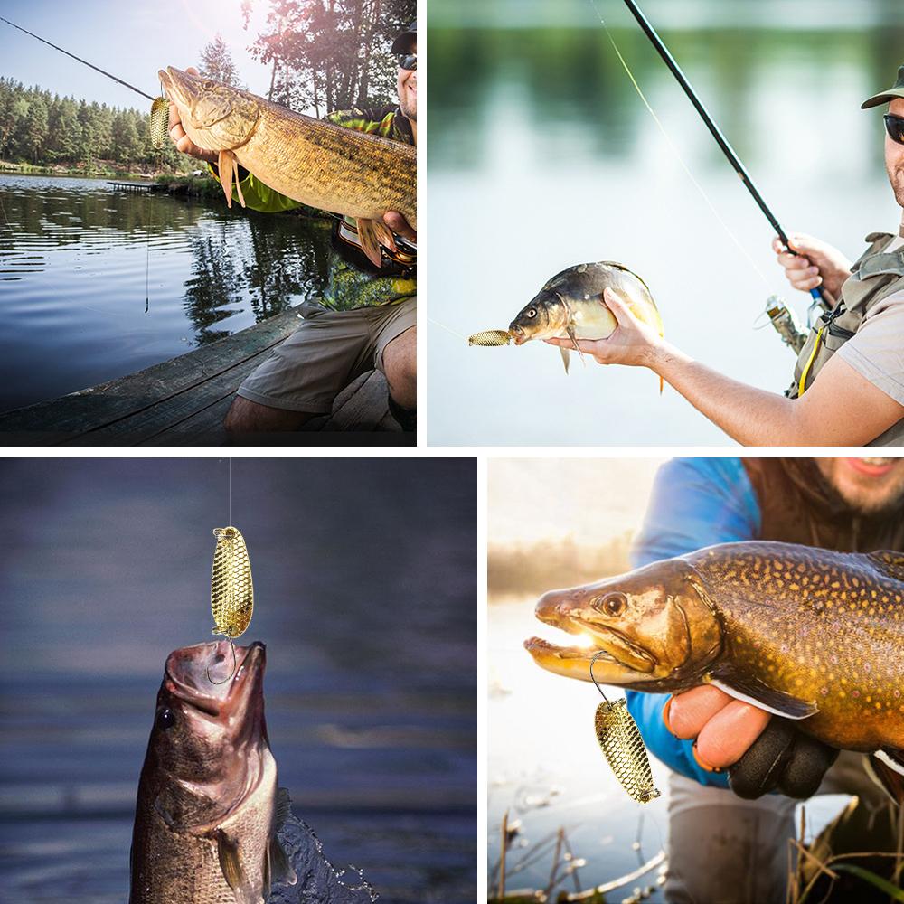 6 Cái móc câu móc mồi câu cá