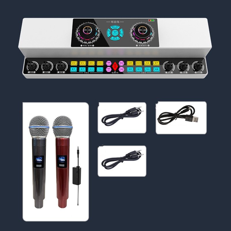 Bộ Karaoke di động có mixer KTV PlayTech (gồm 2 mic) - thay đổi âm thanh tùy ý