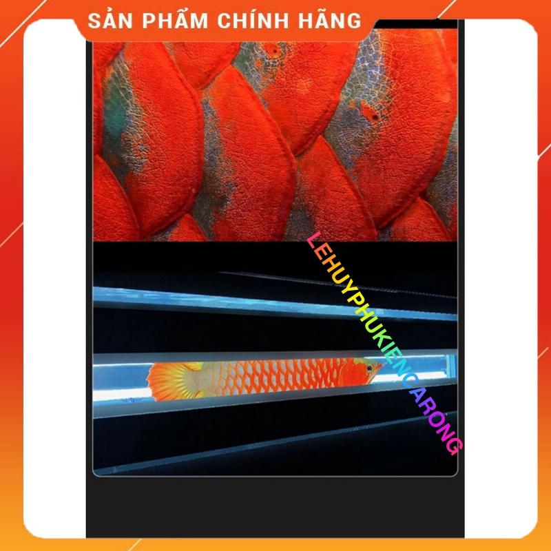 Đèn Bể Cá Dòng Máng Chuyên Dụng Tanning Cho Cá Rồng 1m5 Bóng 6700 13000k Thương Hiệu MAYIN