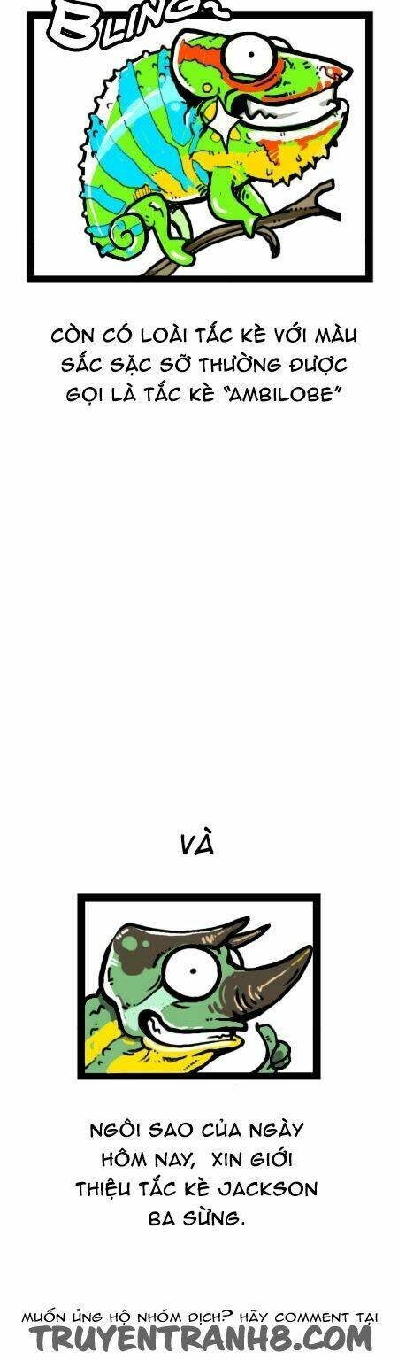 earth, human, and animal chapter 19 11