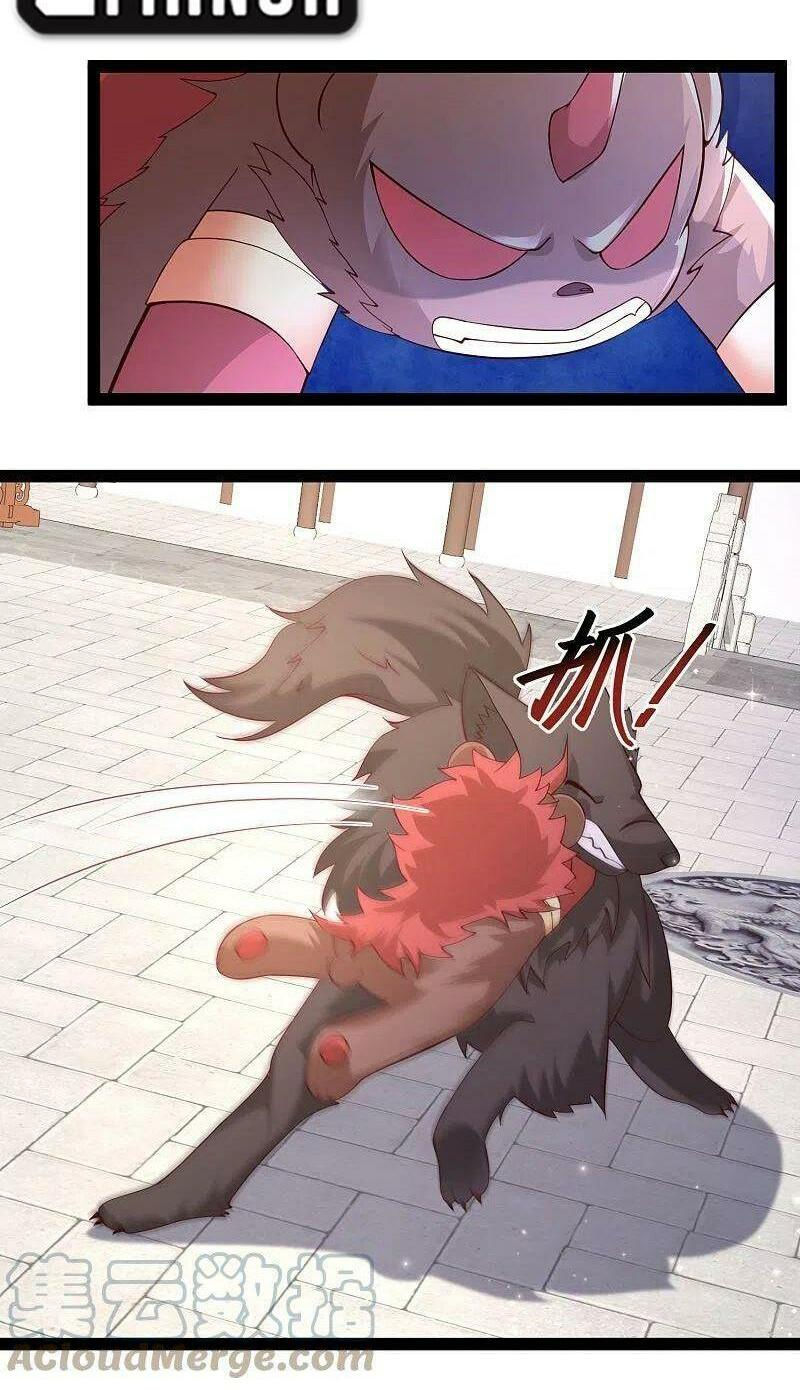 tối cường vận đào hoa chapter 264 6