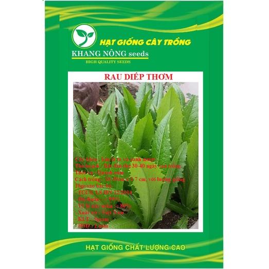 Hạt giống rau diếp thơm KNS305 - Gói 3gram