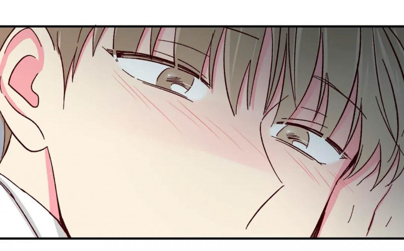 món tráng miệng của sếp tổng chapter 46 23