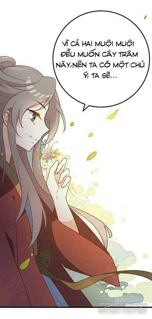 sự tái sinh của nhiếp chính chapter 4.6 24