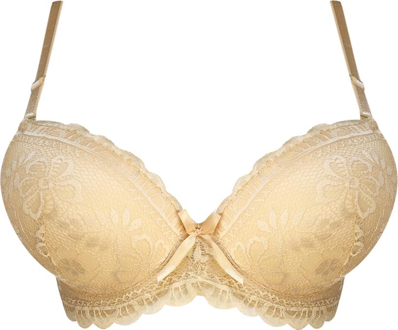 ÁO NGỰC ren cao cấp mút dày nâng ngực E336