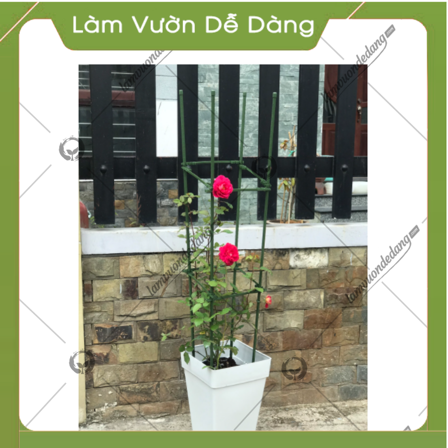 COMBO 2 KHUNG TRỒNG CÂY HÌNH TỨ GIÁC