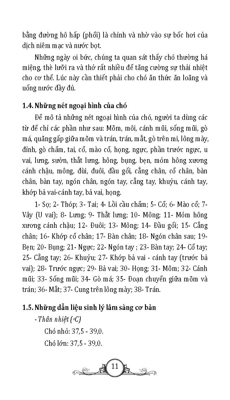 Nuôi Chó Mèo Và Nguy Cơ Lây Nhiễm Bệnh Từ Chó Mèo (Tái bản 2025)