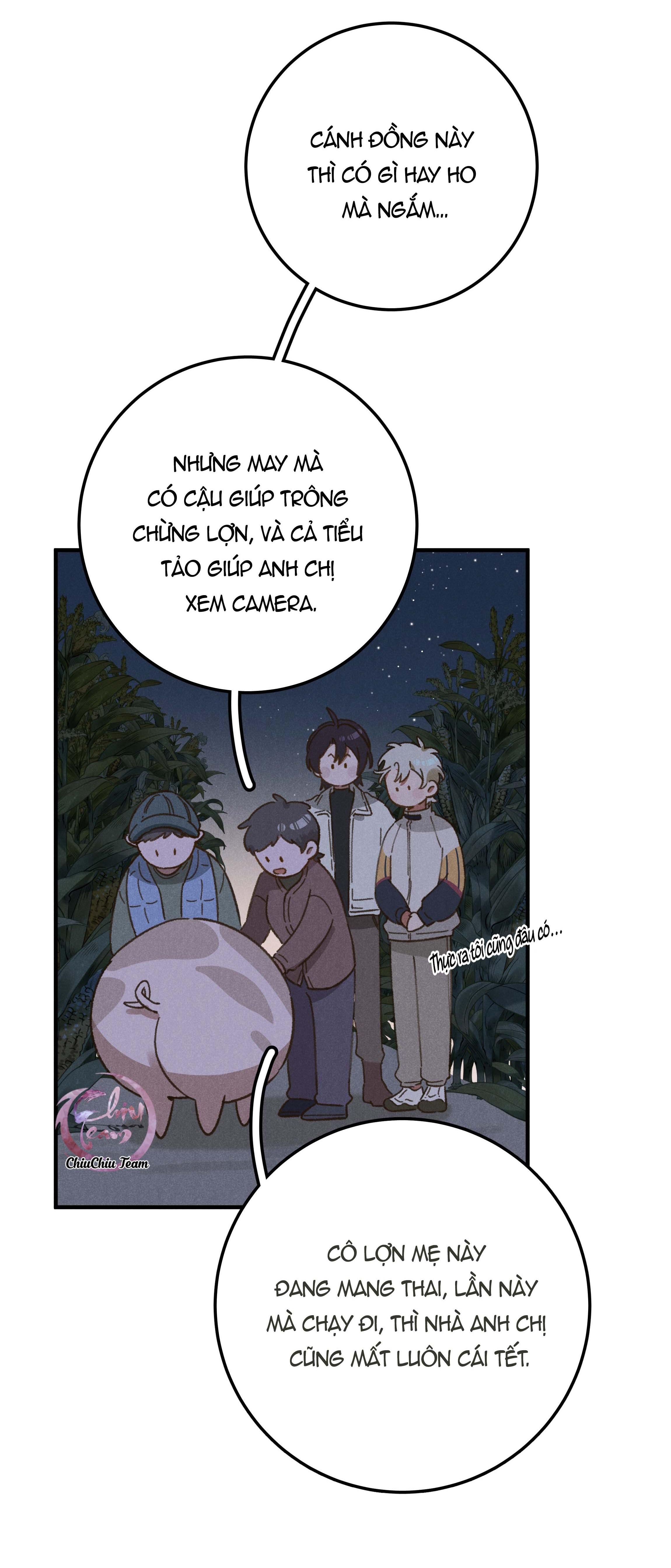 ra ruộng ngô với anh á, còn lâu! chapter 5.1 7