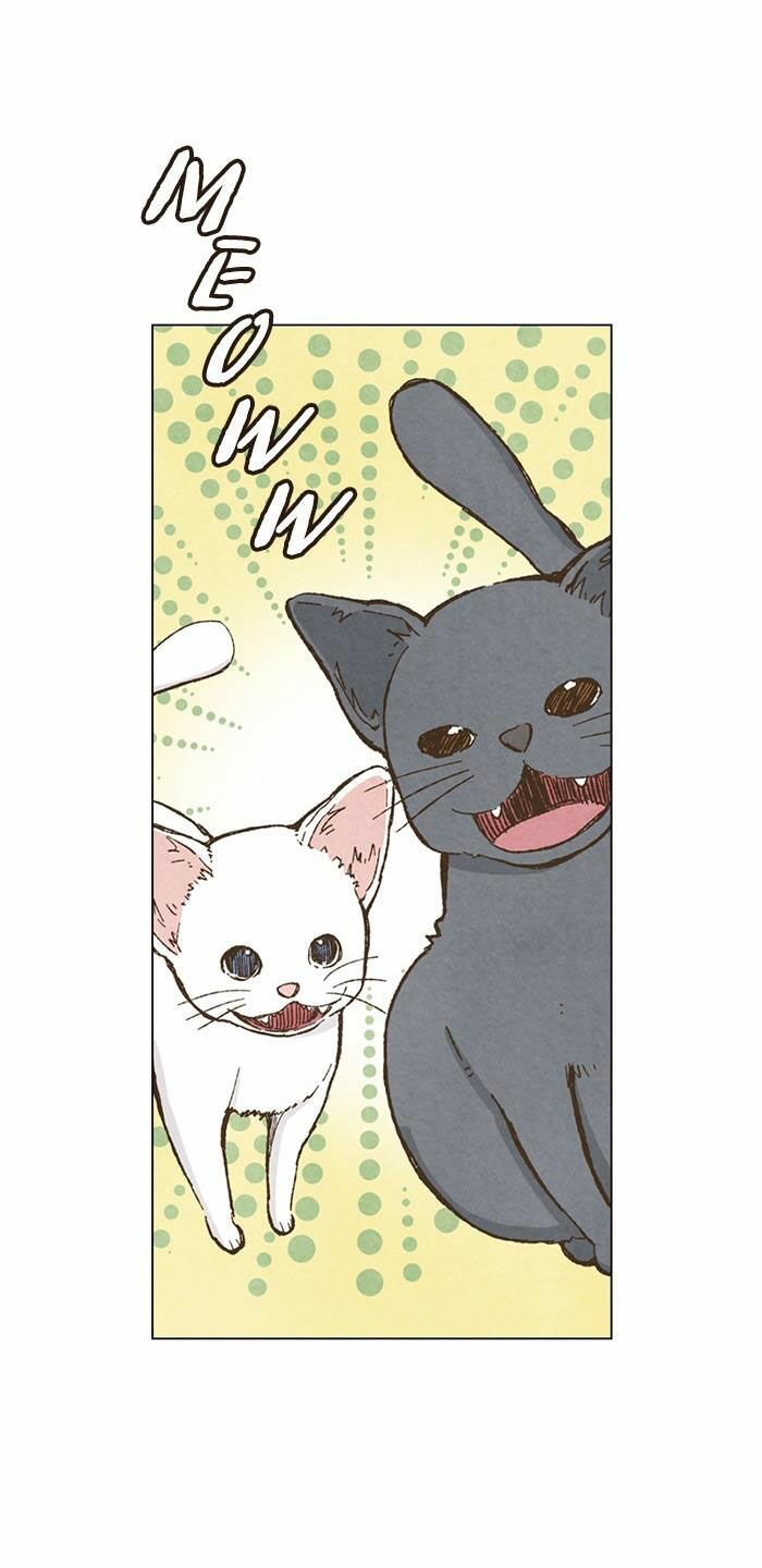 honey! honey! marry me! chapter 79 40