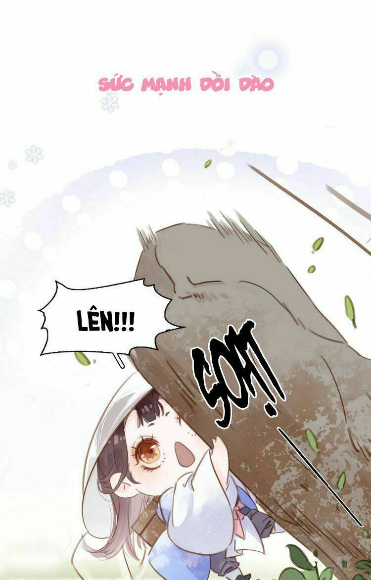 tiểu sư phụ, tóc giả của ngài rơi rồi! chapter 0 5