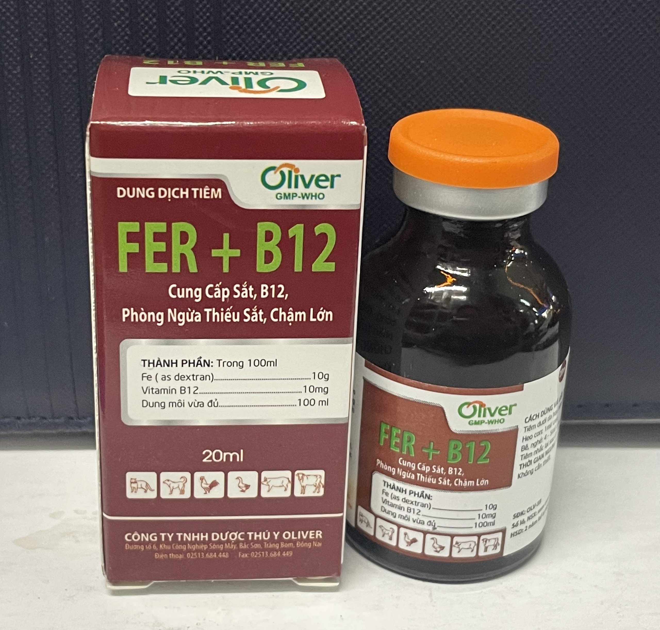 FER+B12 - CUNG CẤP SẮT, B12, PHÒNG NGỪA THIẾU SẮT, CHẬM LỚN.