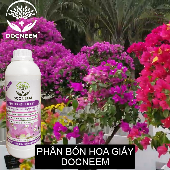 Phân bón hoa giấy DOCNEEM, kích bông giấy ngũ sắc, cẩm thạch, thái, mỹ sai hoa, lặp hoa nhanh, nở đồng loạt, chai 1 lít