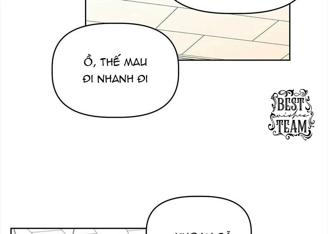 guide cấp b chapter 12 16